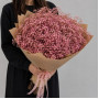 15 розовых гипсофил