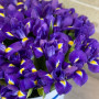 45 фиолетовых ирисов в шляпной коробке фото 4